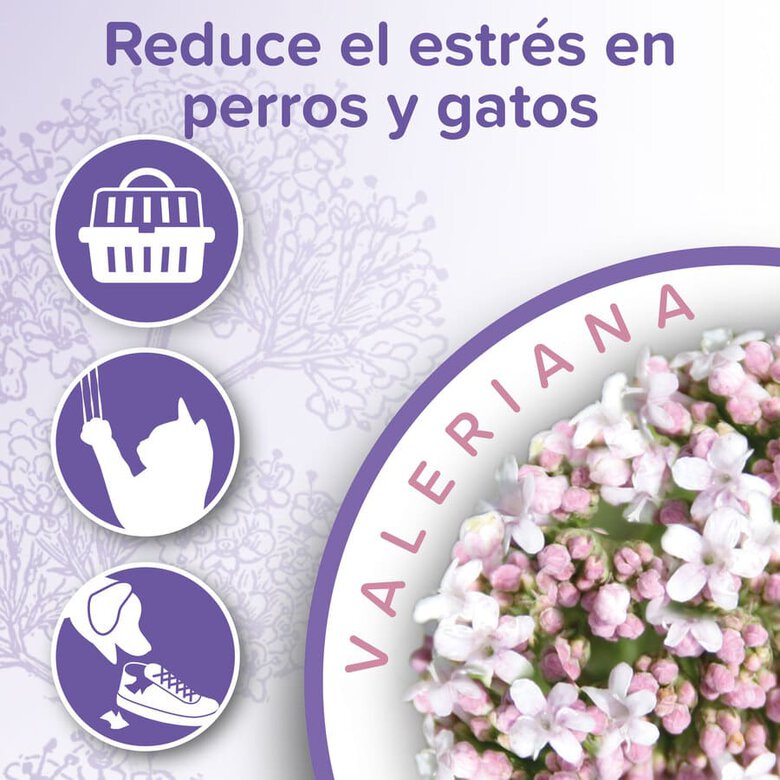 Beaphar Calming Spray Ambiente Relajante para gatos y perros, , large image number null